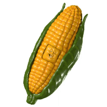 order corn