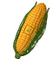 New Corn Order Corn Site Sticker - New Corn Order Corn Site Best Crop Stickers
