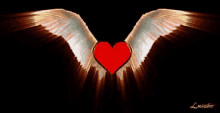 Heart Wings GIF - Heart Wings GIFs