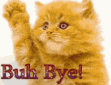 Cat Buh Bye GIF - Cat Buh Bye Bye GIFs