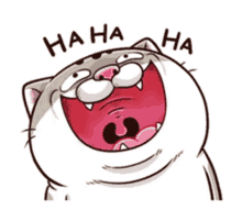 ami fat cat cute chubby laugh haha