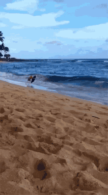 running into the waves fail gif