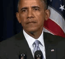 Bitch, Please GIF - Barack Obama What Confused GIFs