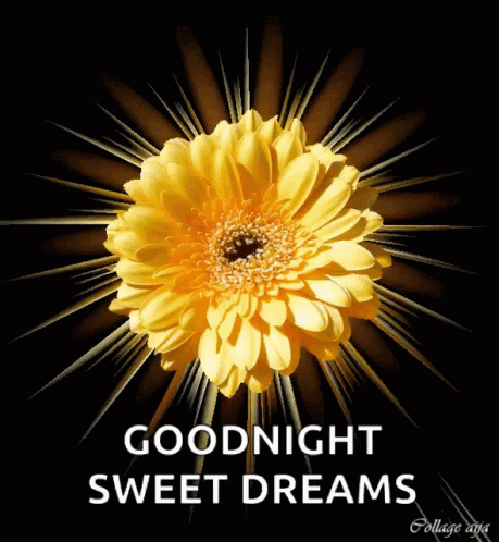 Goodnight Sweet Dreams GIF - Goodnight Sweet Dreams Sparkles - Discover ...
