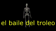 Baile Del Troleo Esqueleto GIF - Baile Del Troleo Esqueleto Nock Dog GIFs