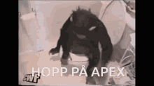 monkey apex hop on apex toilet