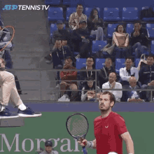 Andy Murray Shut Up GIF - Andy Murray Murray Shut Up GIFs