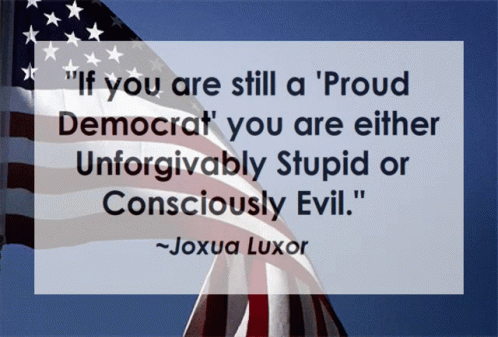 democrat-unforgivably-stupid.gif