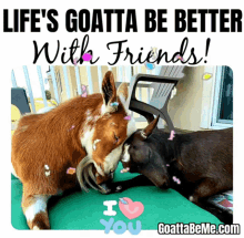Friends Love GIF - Friends Love Animals GIFs