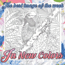 happy color in new colors coloring designing best image of the week