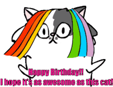 rainbow cat birthday awesome