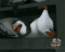 Tux Sleeping Tux GIF - Tux Sleeping Tux Penguin GIFs