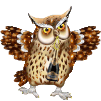 Boldog Születésnapot Owl Sticker - Boldog Születésnapot Owl Stickers