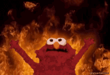 Elmo Hell GIF - Elmo Hell Yeah GIFs