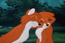 Fox Love GIF - Fox Love Face Cuddle GIFs
