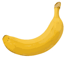 bana banana