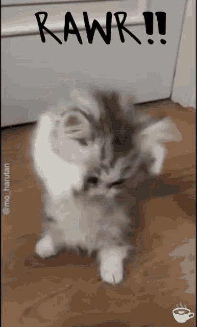 Kitten Rawr GIF - Kitten Rawr Cute GIFs