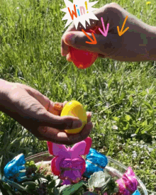 Migros Ostern GIF - Migros Ostern Easter GIFs