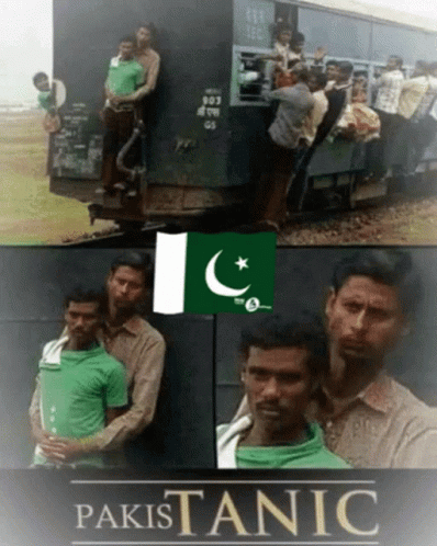 Trolls Pakistan GIF - Trolls Pakistan Meme - Discover & Share GIFs