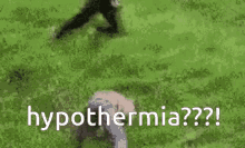 Your Average Fall Hypothermia GIF - Your Average Fall Hypothermia GIFs