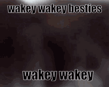 Wakey Wakey Wake Up GIF - Wakey Wakey Wake Up Waking Up GIFs