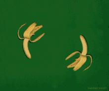 Bananas Peel GIF - Bananas Peel Circle Of Life GIFs
