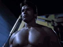 Terminator GIF - Terminator Arnold Schwarzenegger Film GIFs