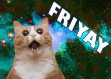 Space Cat GIF - Friyay Friday Cat GIFs
