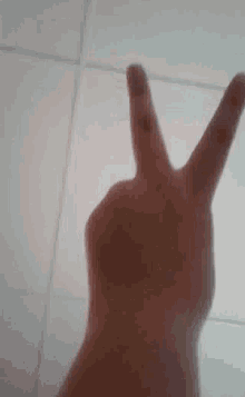Peace Sign Hand GIF - Peace Sign Hand Fingers GIFs