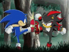 Shadow The Hedgehog Sonic The Hedgehog GIF - Shadow The Hedgehog Sonic The Hedgehog Fight GIFs