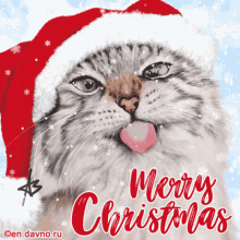 Christmas Kitty GIF - Christmas Kitty GIFs