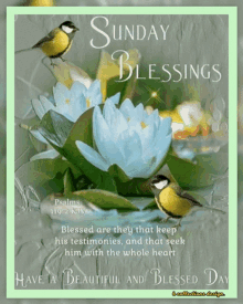 Sunday Blessings GIF - Sunday Blessings Morning GIFs