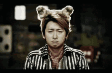 animal satoshi