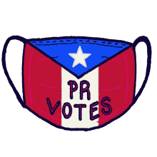 vote go vote puerto rico mask face mask