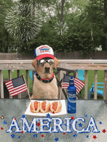 Fourth Of July Dogs GIF - Fourth Of July Dogs America GIFs