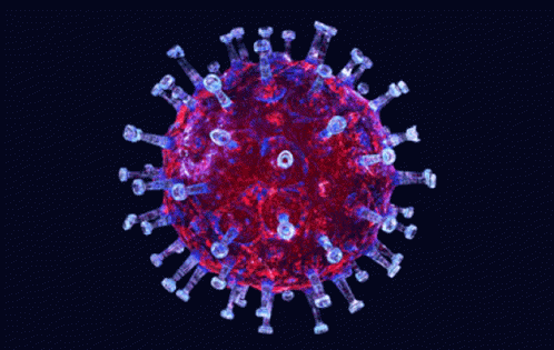 Coronavirus Pandemic GIF - Coronavirus Pandemic Virus GIFs