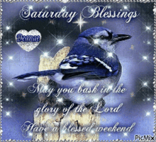Saturday Blessings GIF - Saturday Blessings Morning GIFs