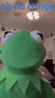 Cringe Kermit The Frog GIF - Cringe Kermit The Frog Flying GIFs