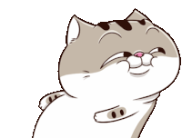 Ami Fat Cat Sticker - Ami Fat Cat Oh Yeah Stickers