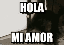 Hola Mi Amor GIF - Hola Amor GIFs
