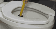 Clean The Swamp Drain GIF - Clean The Swamp Drain Cleaning GIFs