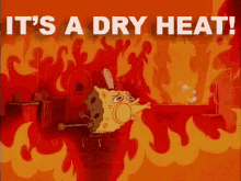 heat dry
