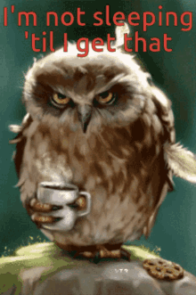 Im Not Sleeping Til I Get That Coffee Owl GIF - Im Not Sleeping Til I Get That Coffee Owl Nocturnal Coffee GIFs