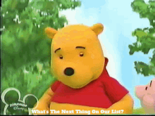the book of pooh pooh whats the next thing on our list whats next whats the next thing