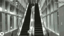 Escalator Slide GIF - Escalator Slide Im Coming GIFs