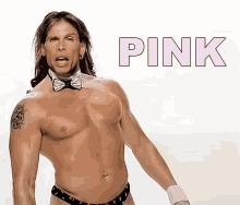 Pink Steven Tyler GIF - Pink Steven Tyler Aerosmith GIFs