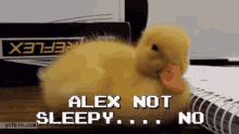 Duck Not Sleepy GIF - Duck Not Sleepy No GIFs