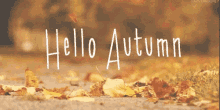 Fall Weather Hello Autumn GIF - Fall Weather Hello Autumn Autumn GIFs