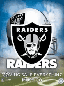 Raiders Nfl GIF - Raiders Nfl Oakland Raiders GIFs
