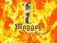 Maggsy Logged GIF - Maggsy Logged Doxxed GIFs